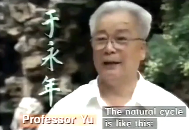Professor Yu Yong Nian - YouTube Video
